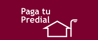 Imagen 12