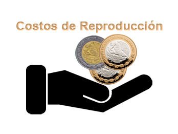 Costos de Reproducción