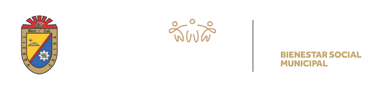 Bienestar Social Municipal