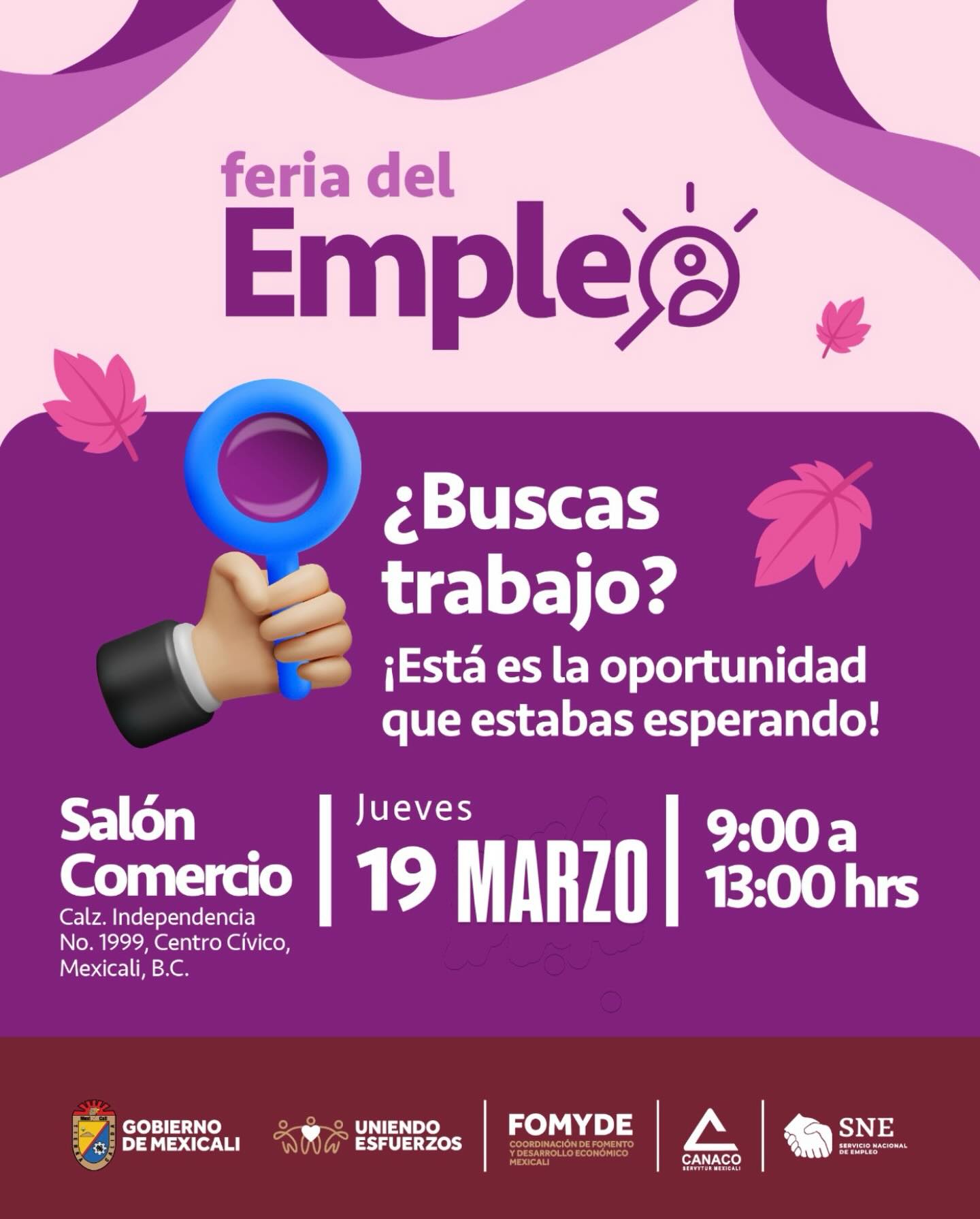Feria Del Empleo