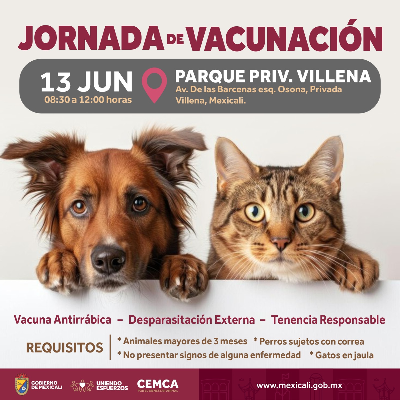 JORNADA DE VACUNACIÓN PARA MASCOTAS