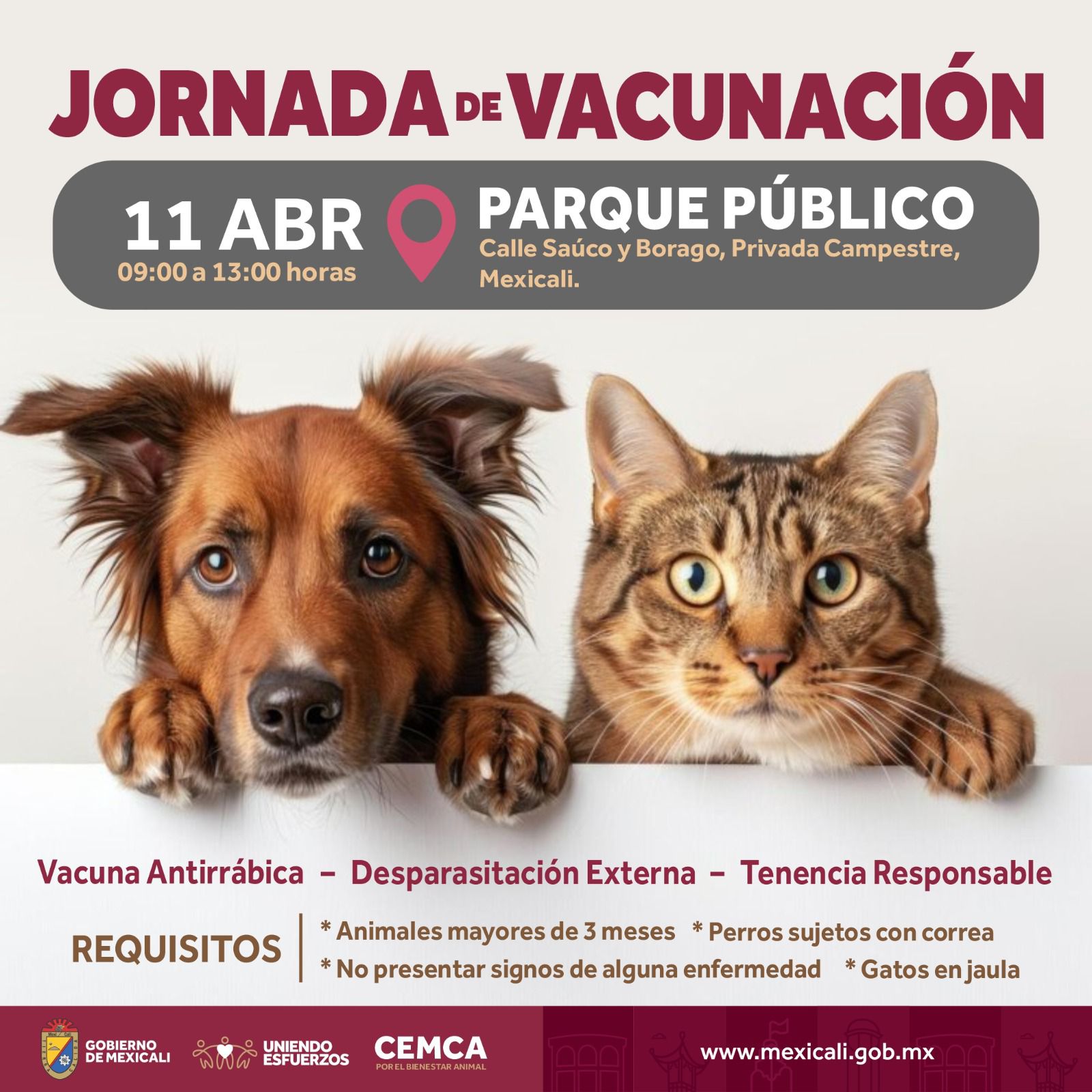JORNADA DE VACUNACIÓN PARA MASCOTAS