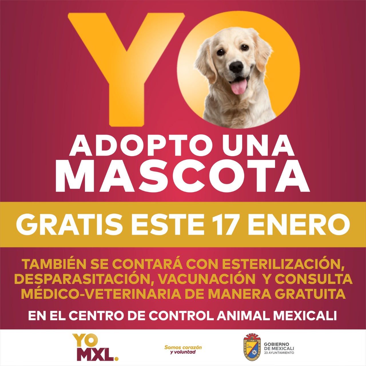 PROMUEVE EL GOBIERNO MUNICIPAL ADOPCIÓN DE MASCOTAS
