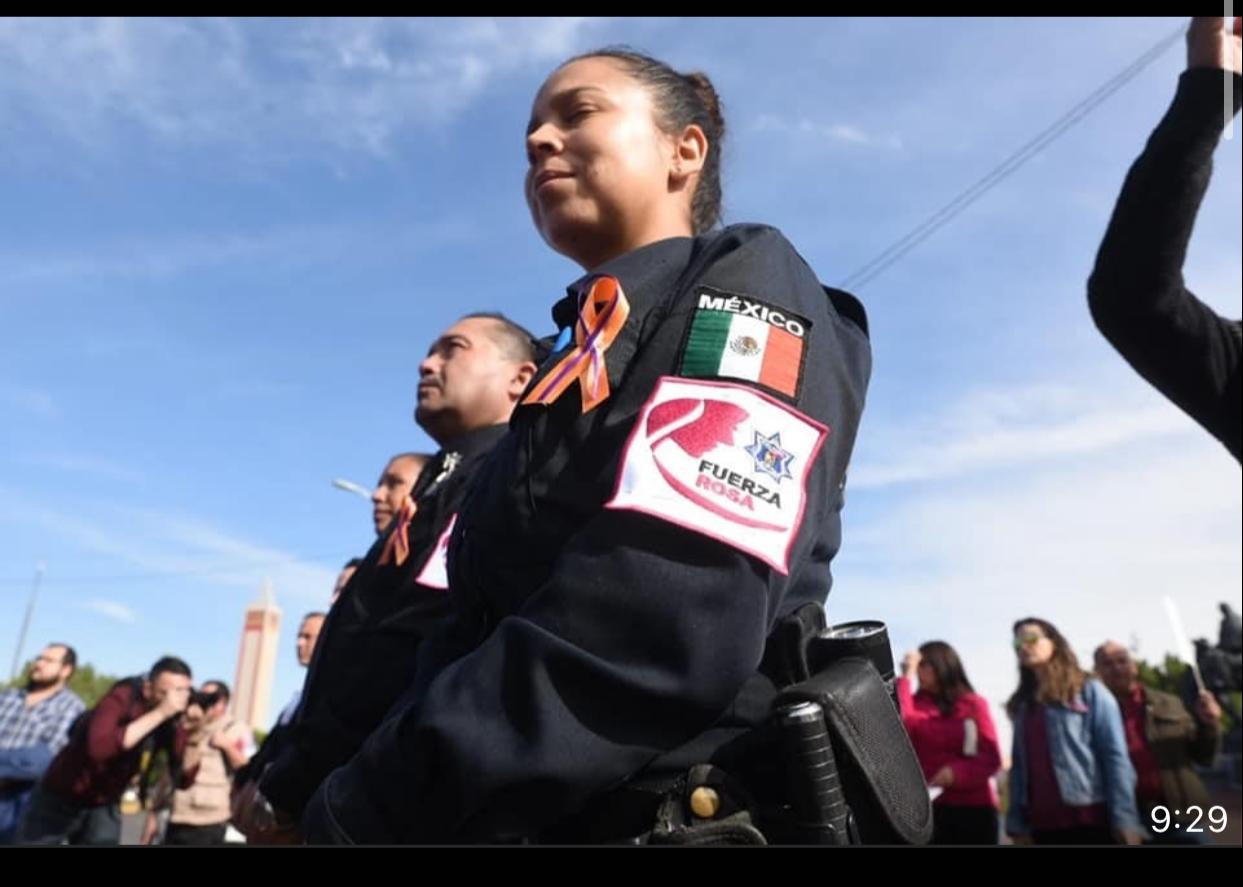 FUERZA ROSA COMBATE DE MANERA INTEGRAL LA VIOLENCIA CONTRA LA MUJER