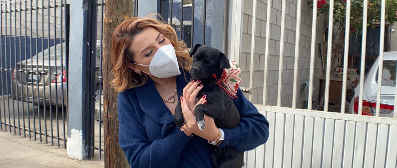 PROMUEVE EL GOBIERNO MUNICIPAL ADOPCIÓN DE MASCOTAS