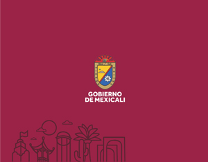 EXHORTA EL DEPARTAMENTO DE DEPÓSITO VEHICULAR DEL GOBIERNO MUNICIPAL ACERCARSE A RECUPERAR VEHICULOS SUJETOS AL PAE (Procedimiento Administrativo de Ejecución)
